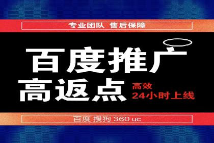 百度推广效果案例解析